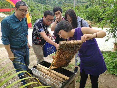 安溪县瑶仙峰蜜蜂养殖专业合作社与华侨职校的产学研合作项目有序开展