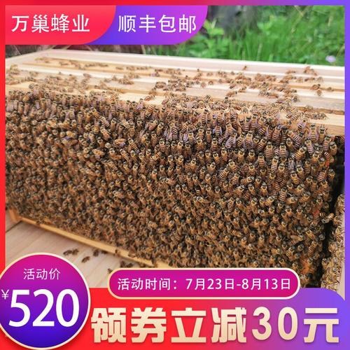 38元产品详情   中蜂蜂群带王蜜蜂蜂群养殖带子脾阿坝中蜂